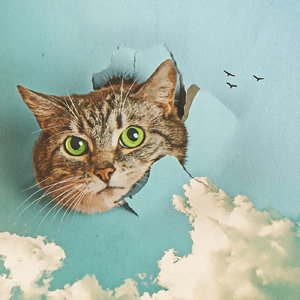 原神本子18❌动漫免费网站
