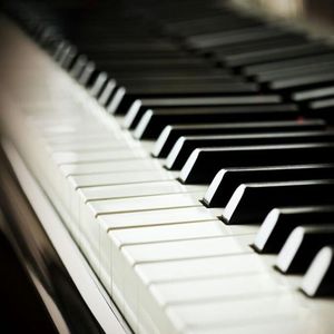 原神本子18❌动漫免费网站
